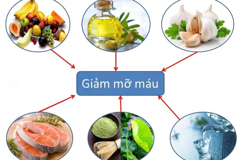 Giảm mỡ máu bằng cách nào?
