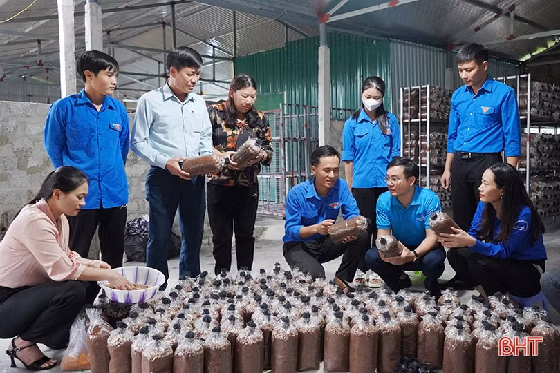 Nhiều mô hình kinh tế hiệu quả của thanh niên Nghi Xuân