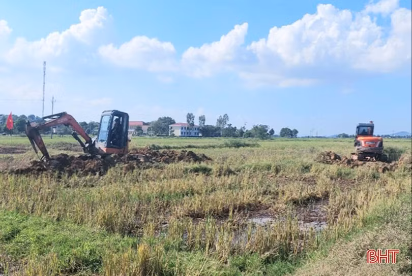 Tranh thủ thời điểm “vàng”, đồng loạt tích tụ ruộng đất