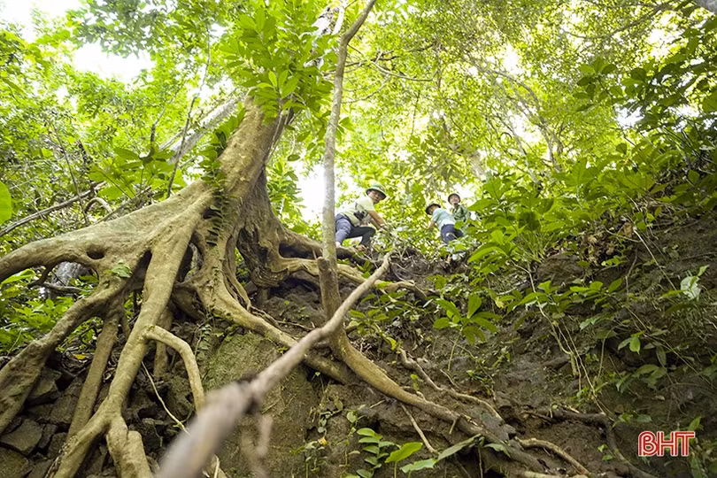 Dấu tích căn cứ địa phong trào Cần Vương ở Hà Tĩnh
