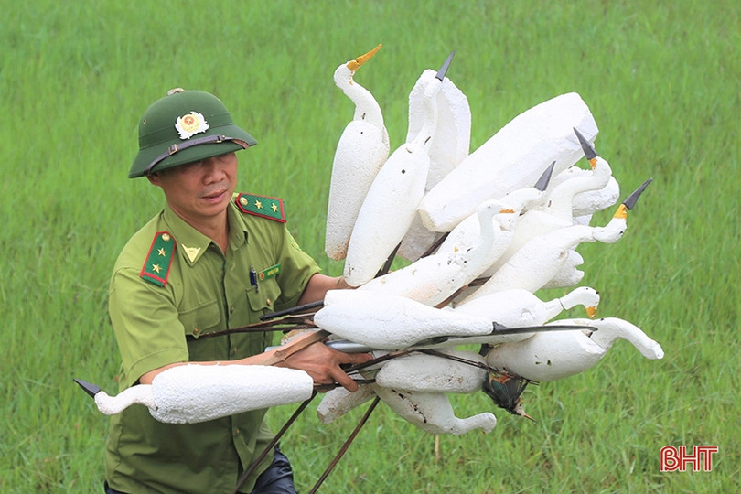 Thạch Hà thu giữ 2.665 chim mồi giả