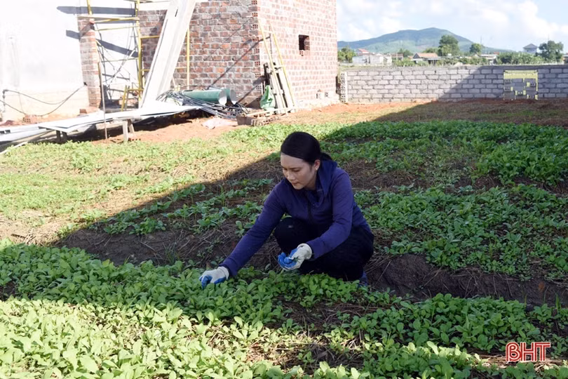 Cư dân vùng tái định cư dự án cao tốc Bắc - Nam vui về nơi ở mới