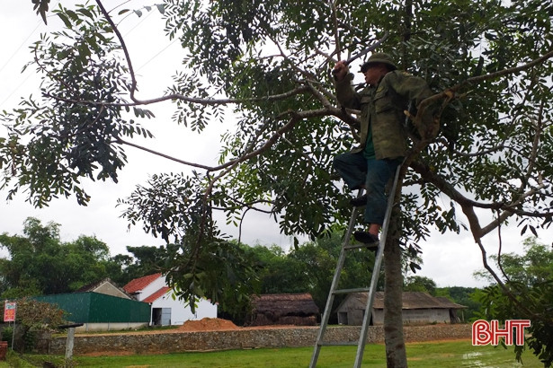 Các địa phương ở Hà Tĩnh chủ động ứng phó với bão CONSON