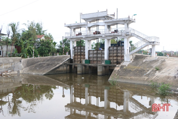 TP Hà Tĩnh cắt tỉa cây xanh, nạo vét hệ thống thoát nước khi vào mùa mưa bão 