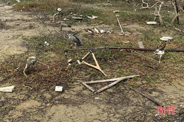 Công an Cẩm Xuyên tịch thu, tiêu hủy gần 800 chim xốp, 5.000 que dính nhựa săn bắt chim trời