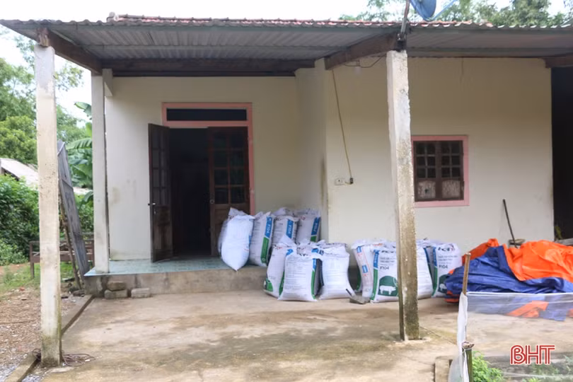 MS2111: Xót thương cảnh mẹ già bệnh nặng nuôi 2 con bị thiểu năng trí tuệ