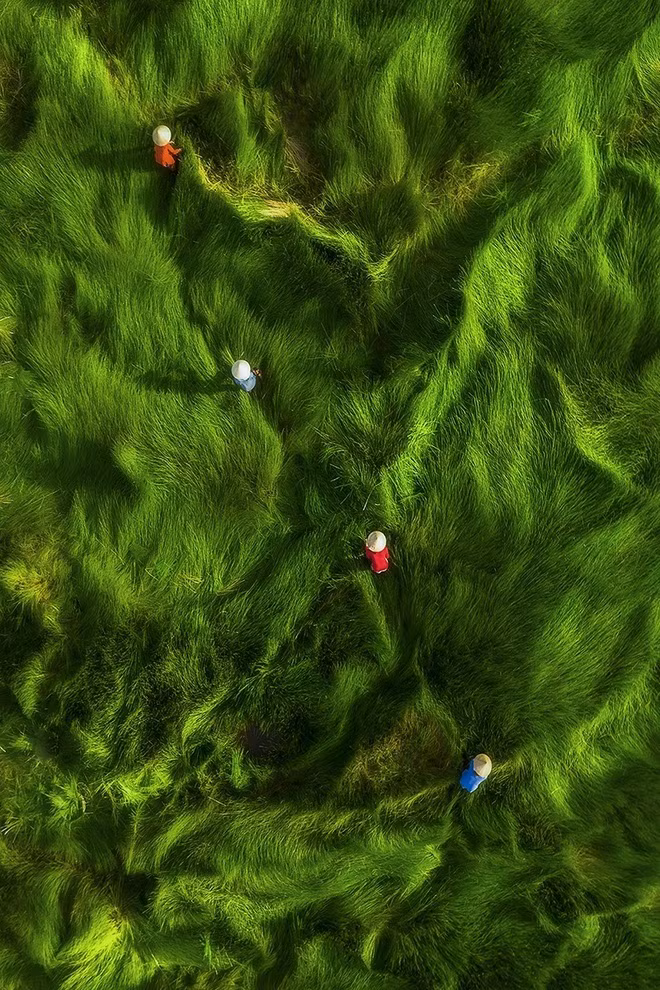 Bức ảnh ghi lại khoảnh khắc trên phá Tam Giang đoạt giải nhất quốc tế