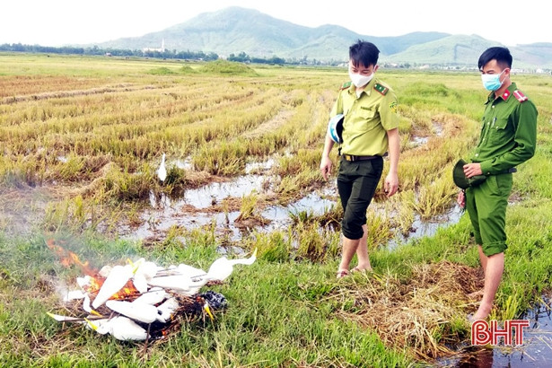 Huyện Kỳ Anh thu giữ hơn 2 ngàn dụng cụ bẫy chim di cư