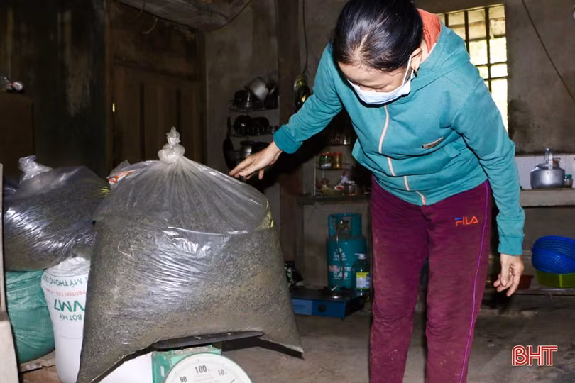 Xây dựng sản phẩm chè Thọ Điền đạt chuẩn OCOP