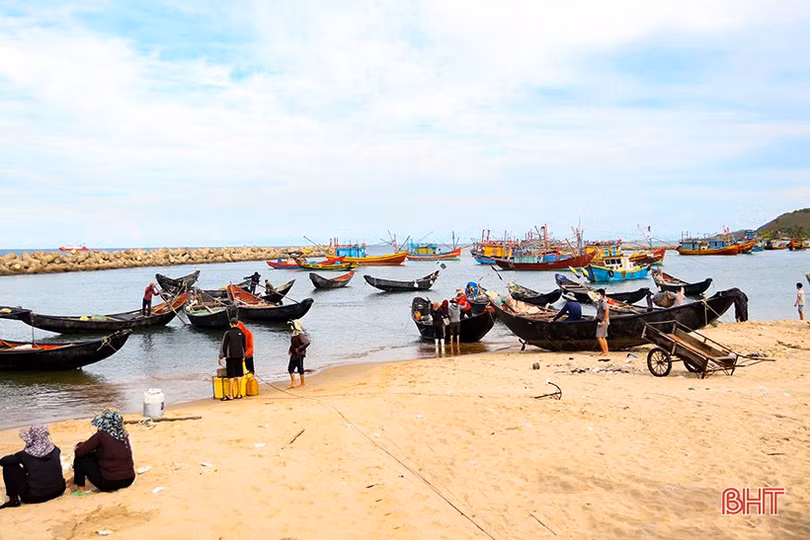 Sớm có giải pháp xử lý bồi lấp bến neo đậu tàu cá ở Kỳ Phương