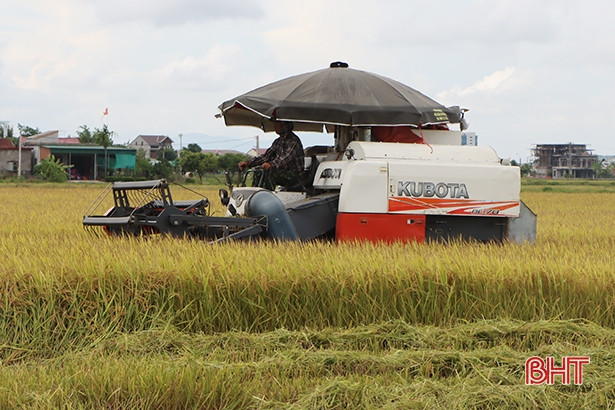 Địa phương đầu tiên ở Hà Tĩnh hoàn thành thu hoạch lúa hè thu, dẫn đầu về năng suất