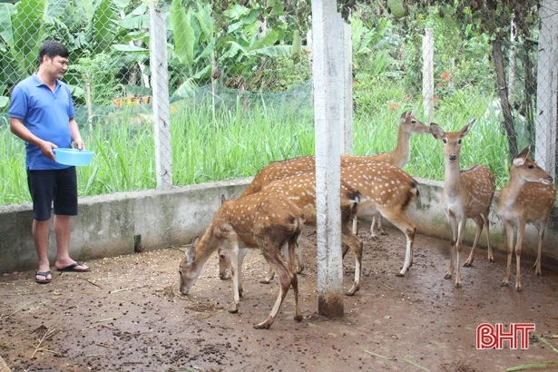 Sơn Châu - xứng danh làng quê cách mạng trên quê hương Hà Tĩnh