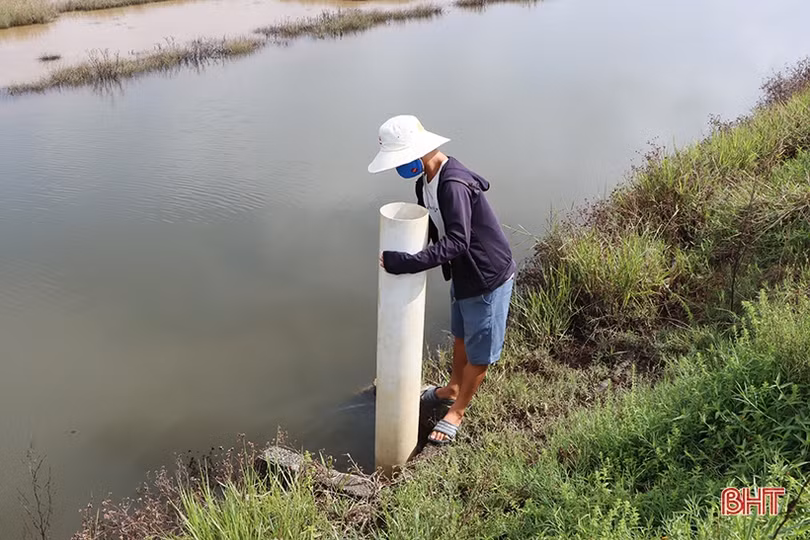 Người nuôi trồng thủy sản ở Hà Tĩnh gia cố ao nuôi ứng phó bão số 5