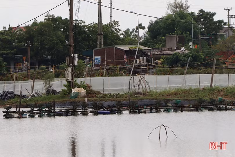 Người nuôi trồng thủy sản ở Hà Tĩnh gia cố ao nuôi ứng phó bão số 5