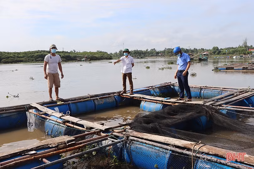 Người nuôi trồng thủy sản ở Hà Tĩnh gia cố ao nuôi ứng phó bão số 5