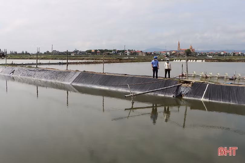 Người nuôi trồng thủy sản ở Hà Tĩnh gia cố ao nuôi ứng phó bão số 5