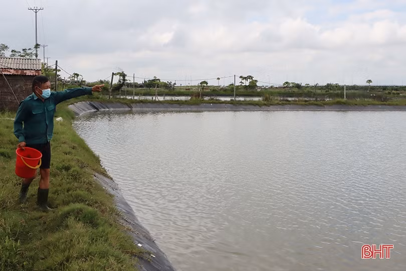 Người nuôi trồng thủy sản ở Hà Tĩnh gia cố ao nuôi ứng phó bão số 5