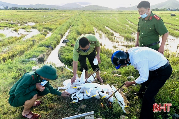 Huyện Kỳ Anh thu giữ hơn 2 ngàn dụng cụ bẫy chim di cư