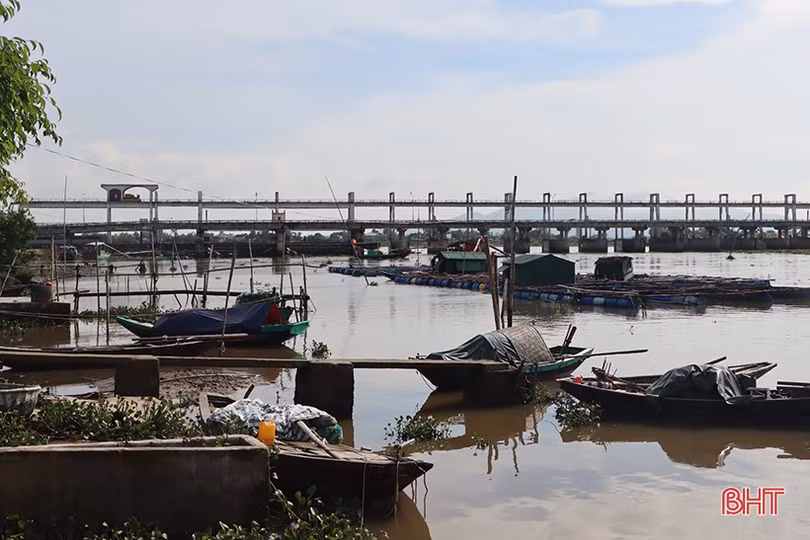Người nuôi trồng thủy sản ở Hà Tĩnh gia cố ao nuôi ứng phó bão số 5