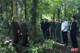 Tăng cường tuần tra, xử lý nghiêm hành vi xâm hại rừng dịp Tết