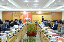 Đảm bảo lễ kỷ niệm 260 năm Ngày sinh Đại thi hào Nguyễn Du diễn ra trang trọng, xứng tầm