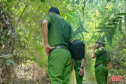 Phát hiện thi thể trong rừng, cơ quan chức năng vào cuộc xác minh danh tính