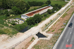 Sớm xử lý ô nhiễm tại trang trại nuôi 300 con lợn ở phường Hà Huy Tập