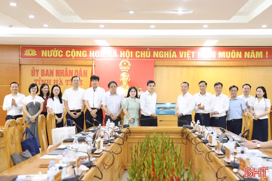 Mirabo Global và đối tác Nhật Bản tìm hiểu cơ hội hợp tác tại Hà Tĩnh
