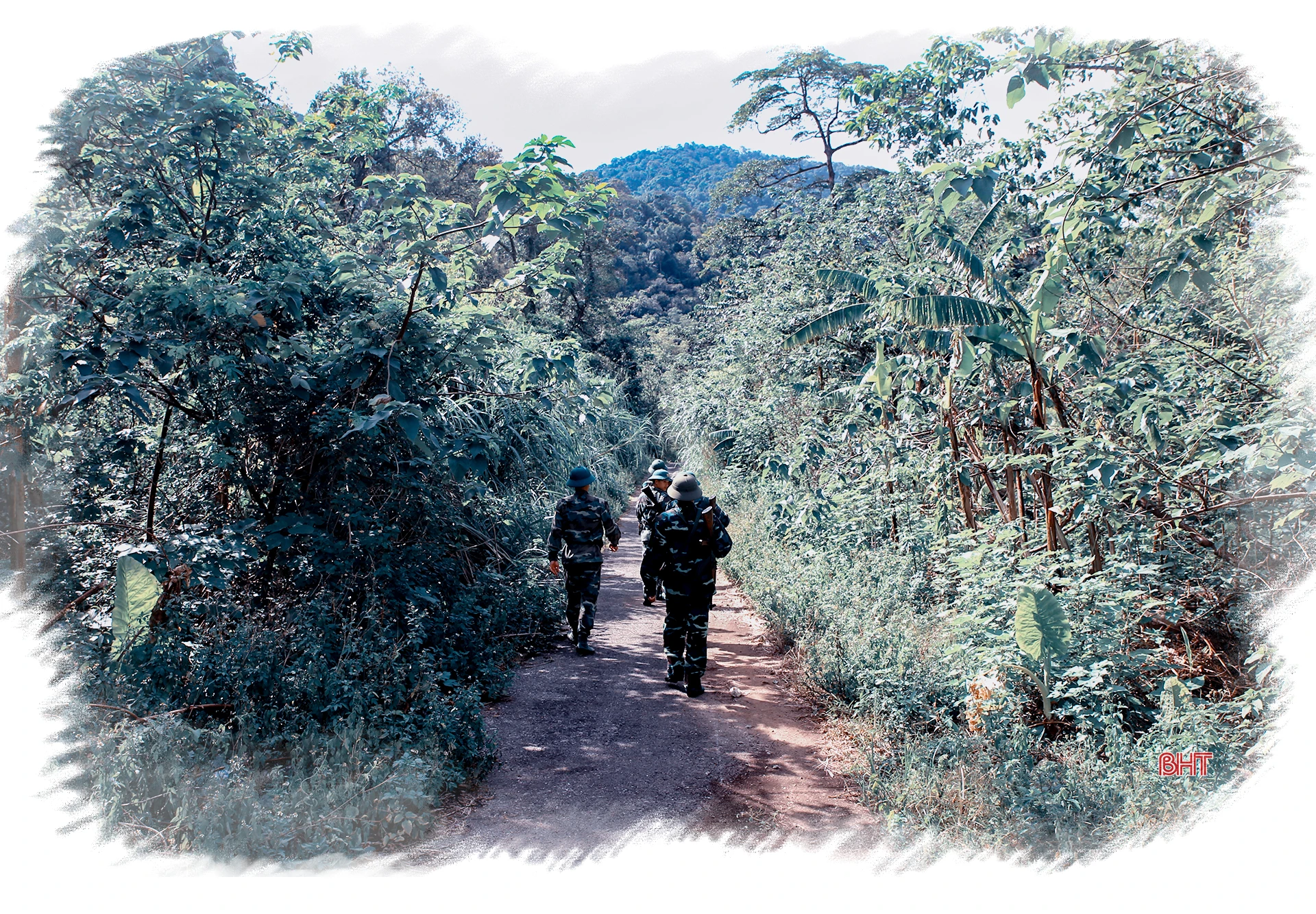 Những bước chân không mỏi…