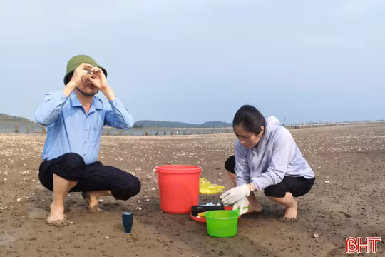 Xác định nguyên nhân ngao chết hàng loạt ở Mai Phụ