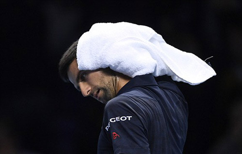 ha djokovic lan dau ngot ngao cua murray