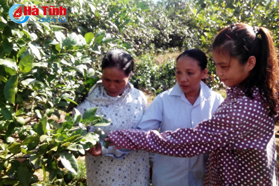 phu nu vu quang phat trien kinh te