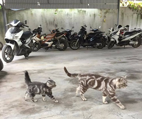 10 anh hai hot nhat facebook trong ngay