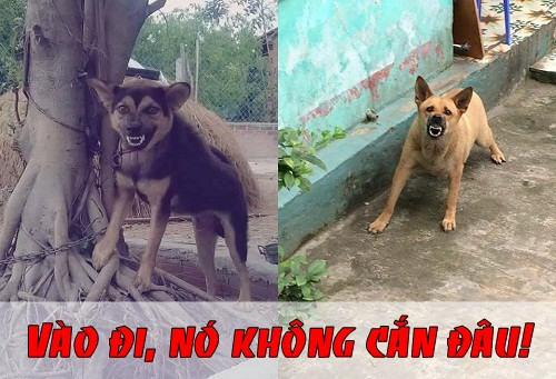 nhung cau noi vo dung nhat moi thoi dai