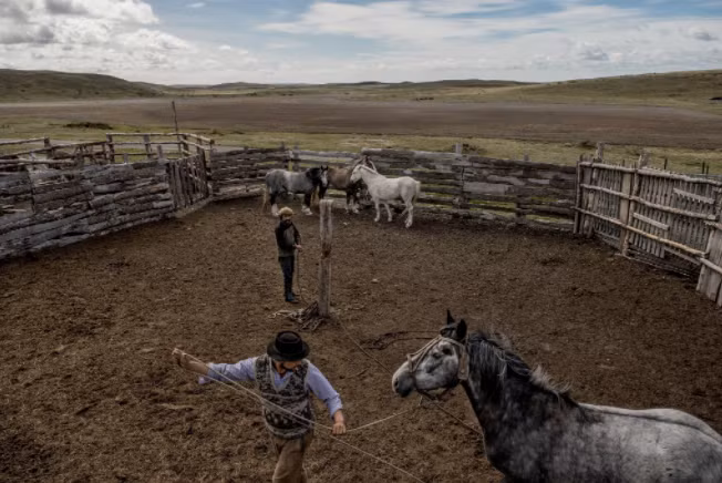 Những anh chàng cao bồi như Roberto Bitsch cho biết vùng Insla Grande, hòn đảo lớn nhất thuộc tỉnh Tierra del Fuego, thường vắng bóng người. Cây bút Tomas Munita của New York Times nhận xét: "Cuộc sống ở nơi tận cùng của thế giới thật đơn độc". cuoc song chan cuu o noi tan cung cua the gioi