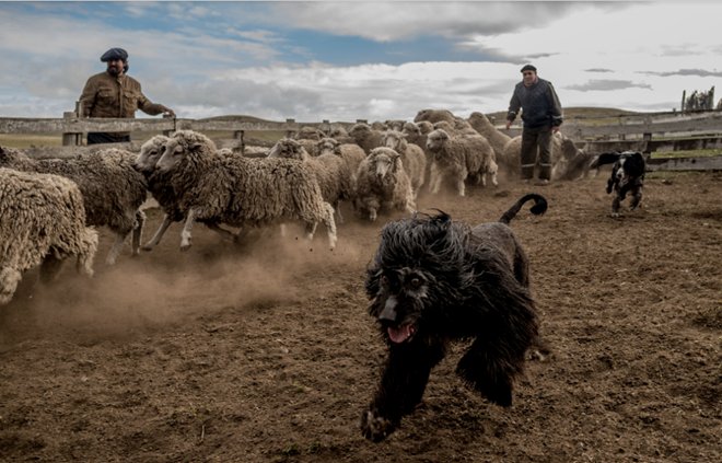 cuoc song chan cuu o noi tan cung cua the gioi