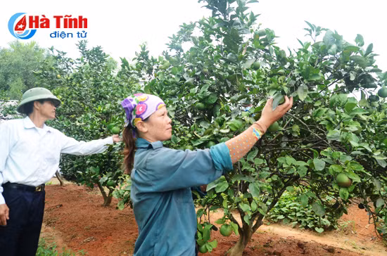 tu hao nhung lang que giau dep van minh