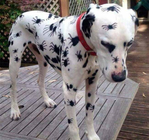 10 anh hai hot nhat facebook trong ngay