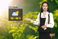 Dự báo thời tiết Hà Tĩnh ngày 15/5: Đêm không mưa, ngày nắng