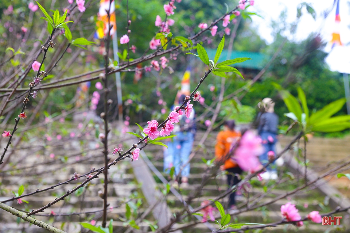 Chùa Hương Tích Hà Tĩnh - điểm “check in” đậm sắc xuân