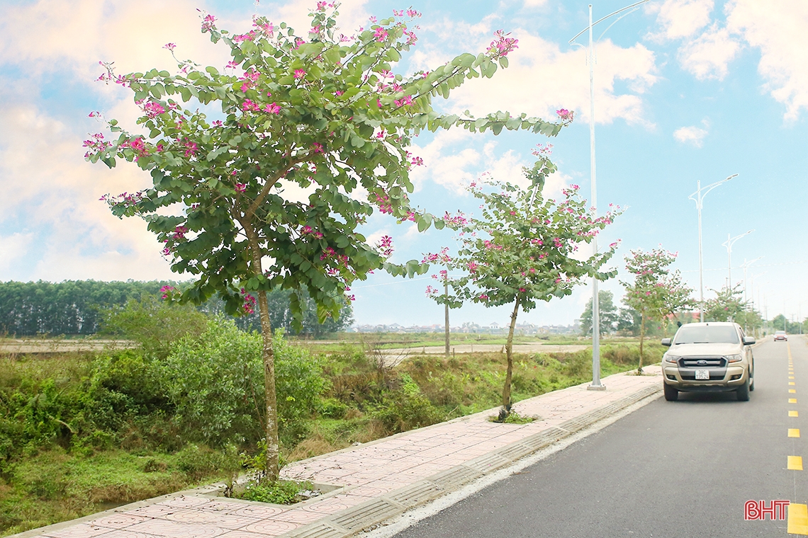 Chùa Hương Tích Hà Tĩnh - điểm “check in” đậm sắc xuân