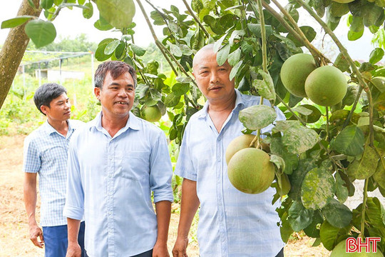 Cựu lính Trường Sa hồi sinh vùng "đất chết"