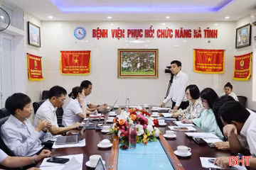 Mirabo Global và đối tác Nhật Bản khảo sát cơ hội đầu tư tại Hà Tĩnh