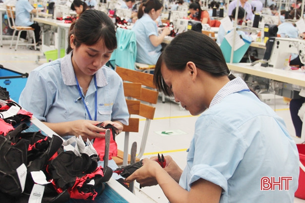 Haivina Hồng Lĩnh thu hơn 13 tỷ đồng từ xuất khẩu găng tay