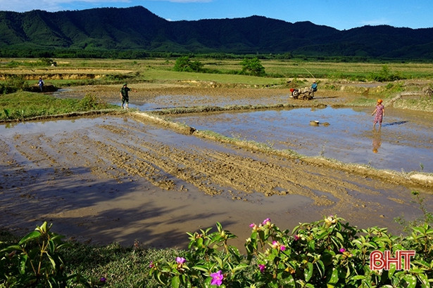 Chiến sỹ Biên phòng Hà Tĩnh giúp bà con dân tộc Chứt gieo cấy lúa hè thu