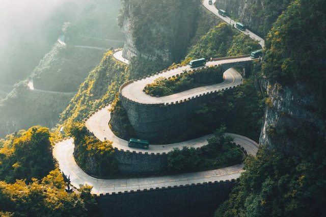 Bức ảnh 2 con báo “đáng giá 6 năm chờ đợi” của nhiếp ảnh gia Ấn Độ ảnh 11 Bức ảnh 2 con báo “đáng giá 6 năm chờ đợi” của nhiếp ảnh gia Ấn Độ