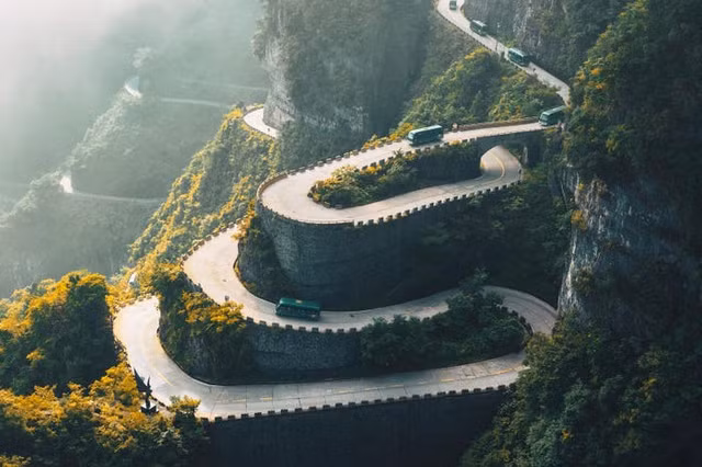 Bức ảnh 2 con báo “đáng giá 6 năm chờ đợi” của nhiếp ảnh gia Ấn Độ