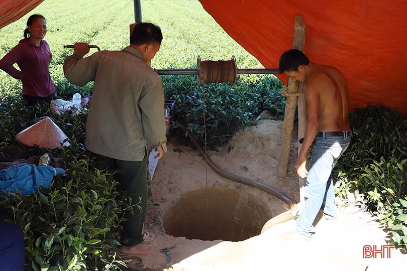Nông dân vùng biên giới Hà Tĩnh nghĩ đủ cách chống hạn “cứu” cây trồng chủ lực
