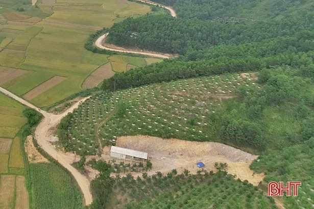 Xã miền núi Hà Tĩnh có hàng trăm “triệu phú” nhờ xóa vườn tạp, khai phá đồi hoang