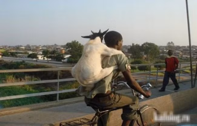 Những hình ảnh khó tin trên đường phố